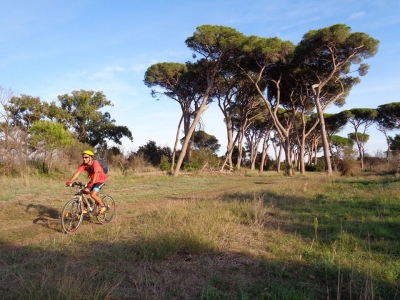 Solitaria di 35 Km fra Castel Fusano e Ostia