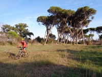 Solitaria di 35 Km fra Castel Fusano e Ostia