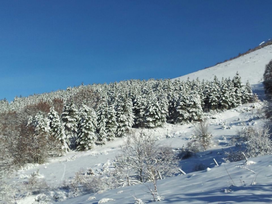 Paesaggi del Nord...