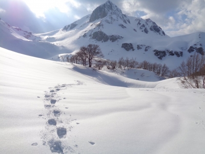 Nel cammino della vita...