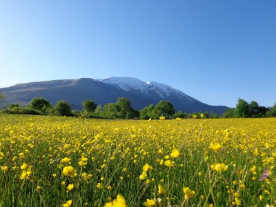Per chi ama la montagna...