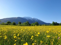 Per chi ama la montagna...