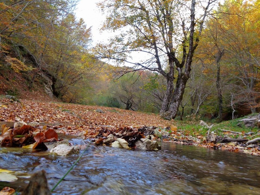 L'Autunno