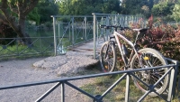 Solitaria MTB a tutta Villa Pamphili