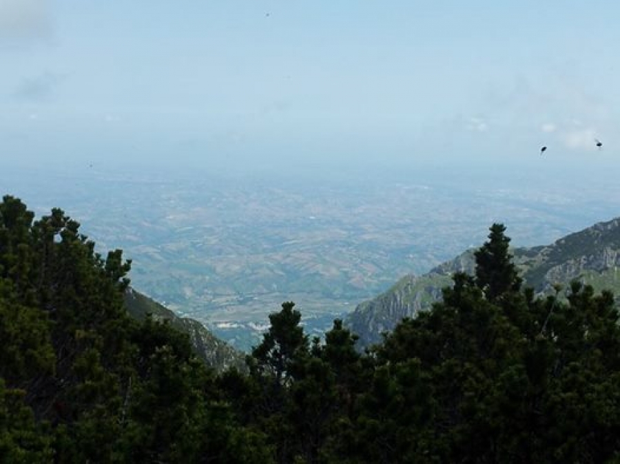 Quando dall'alto...