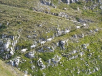 La montagna stupisce anche...
