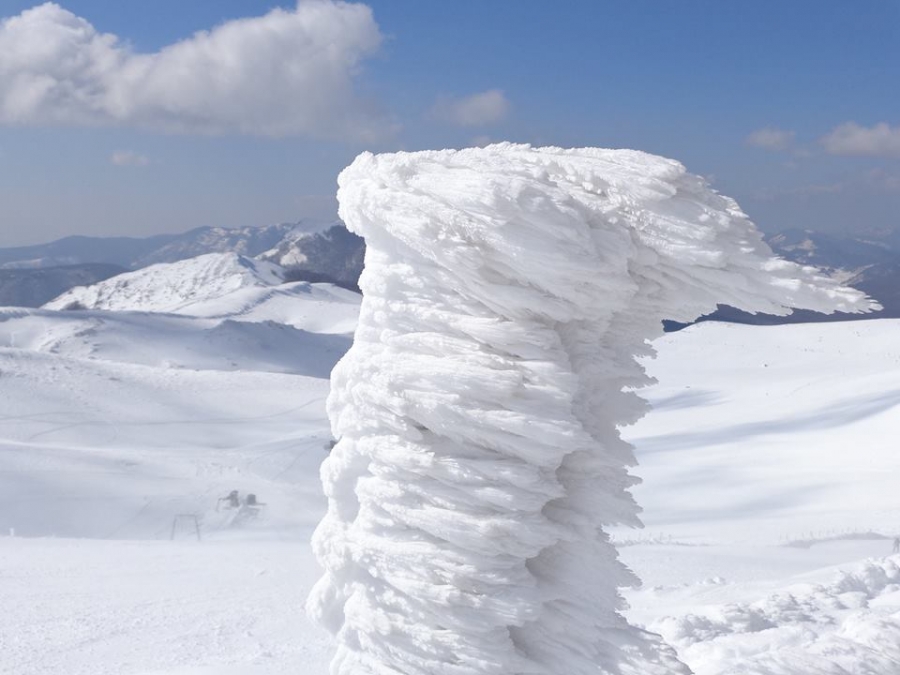 Solitaria sulla montagna più alta dei Simruini: il Monte Cotento