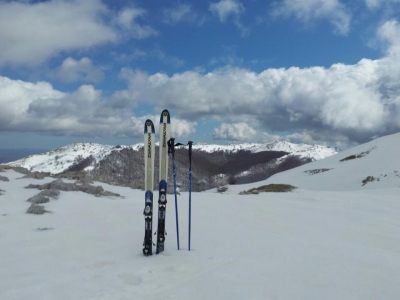 Solitaria a Campitello Matese