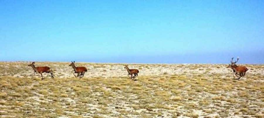 La terra tremò sotto ai miei piedi...