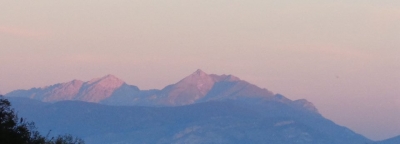 Dipinti di rosa...