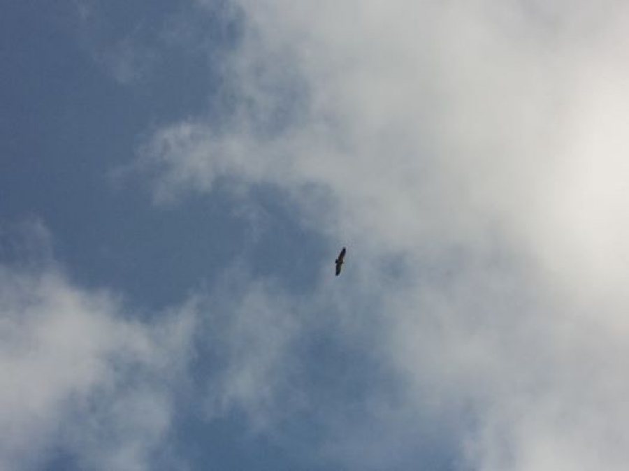 L'emozione di un volo...