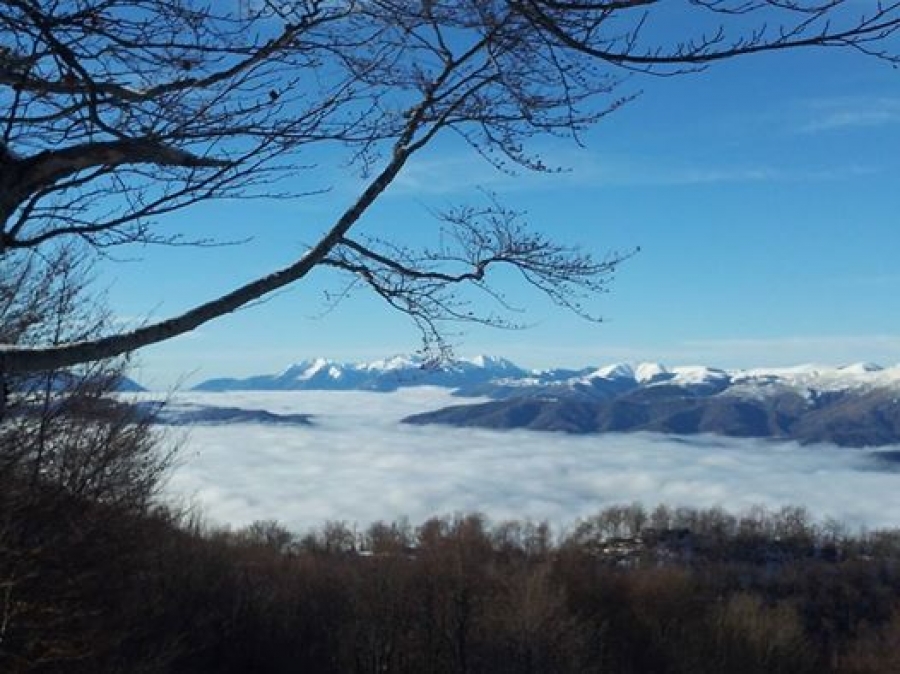 Sotto la nebbia...