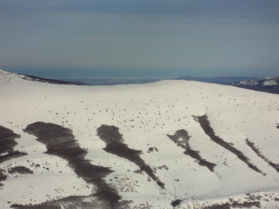 Oggi Vi faccio vedere...