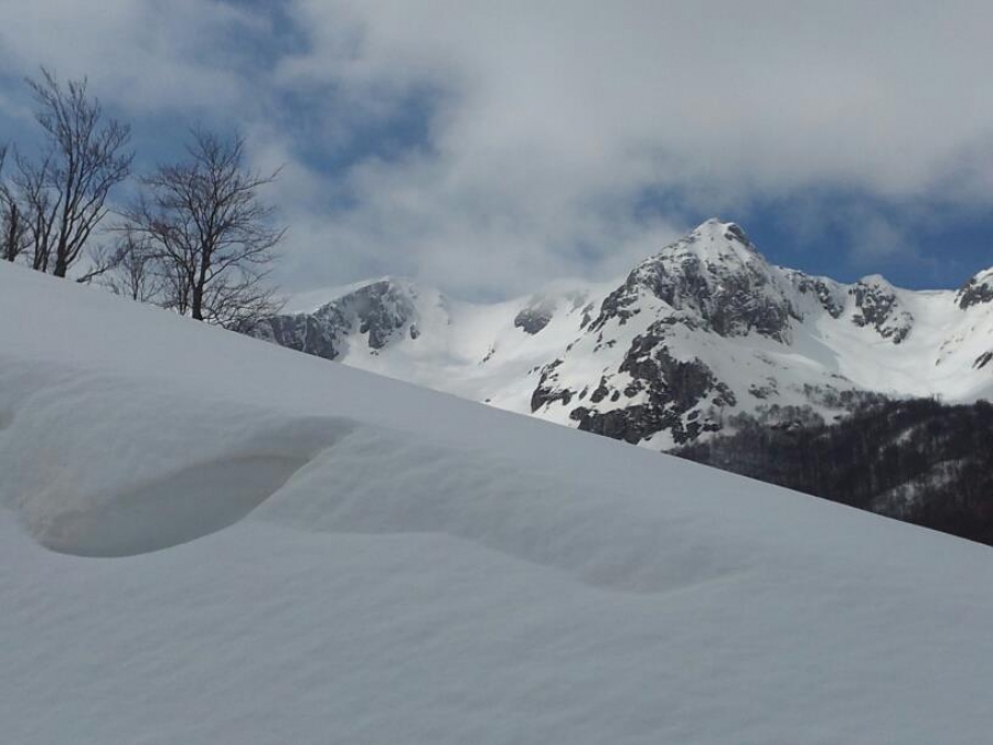In montagna come nella...