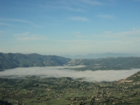 La nebbia...
