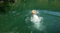Nuoto al Lago