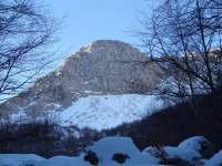 Uscendo dal bosco...
