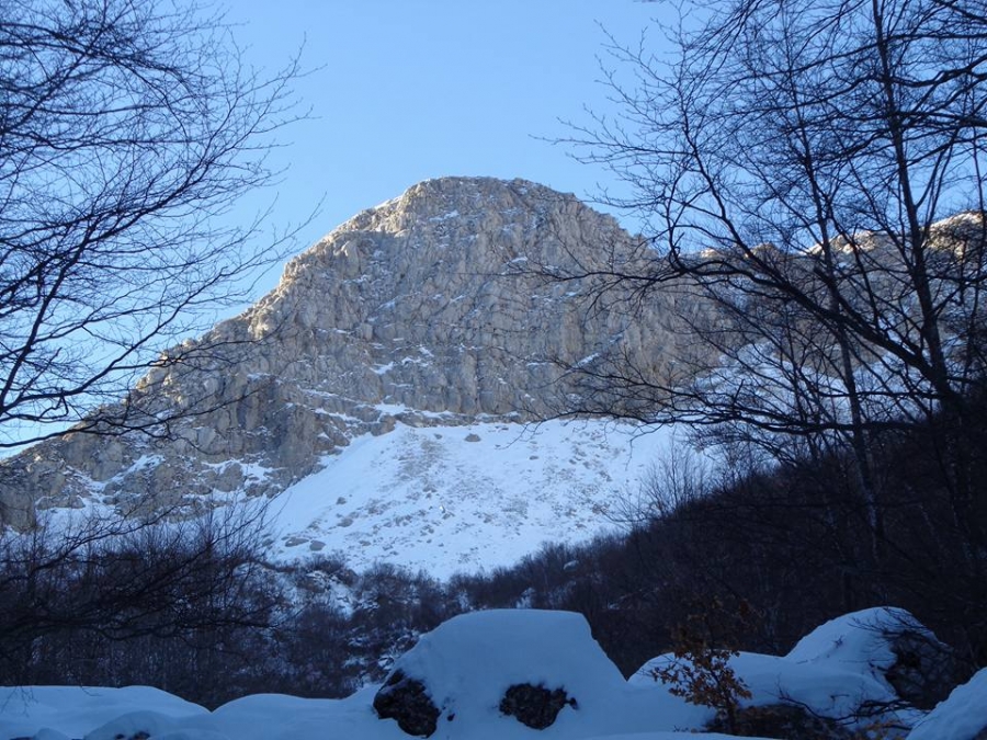 Uscendo dal bosco...