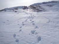 In montagna come nella vita...