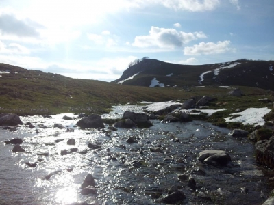 Ruscelli di montagna...