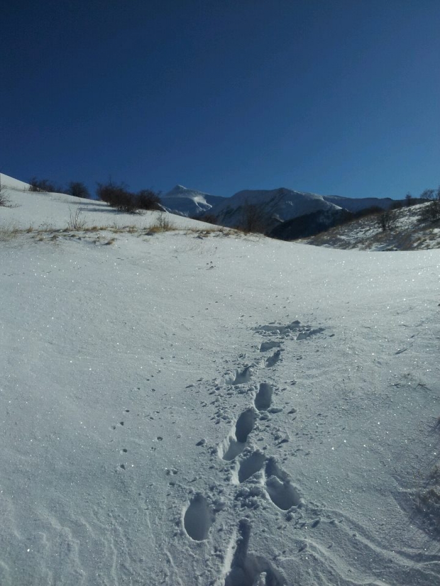 Tornare sui propri passi...