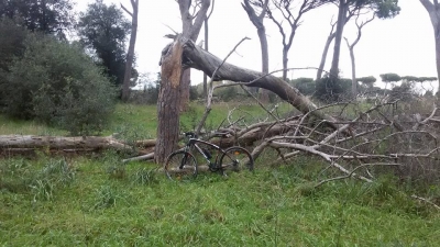 Solitaria di 30 Km in MTB nel cuore di Castel Fusano