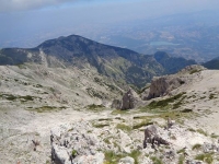Nella vita spesso...